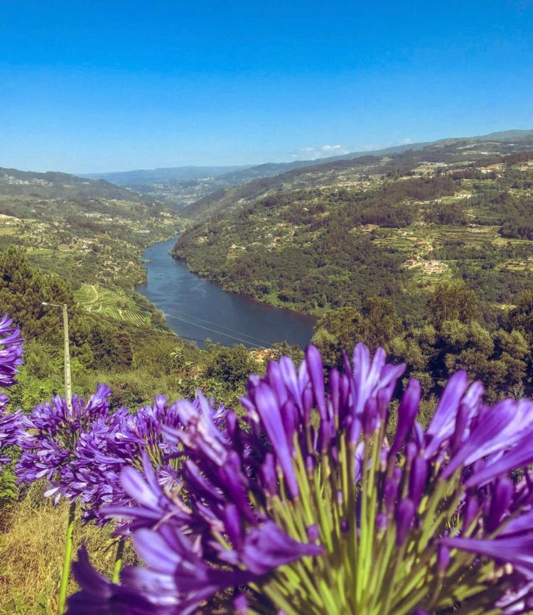Mira Douro Valley Home Marco de Canavezes Buitenkant foto